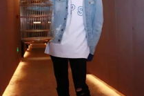 帅哥鸟照片,帅哥鸟的灵动瞬间