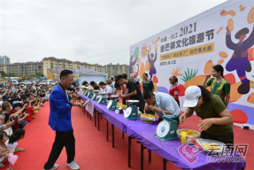 芒果节红网娱乐,精彩纷呈的娱乐盛宴回顾