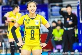 辽宁女排丁霞个人资料